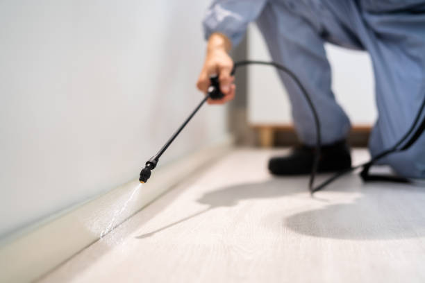 Licensed Rodent Control service in Yermo, CA - Nex Pest Control