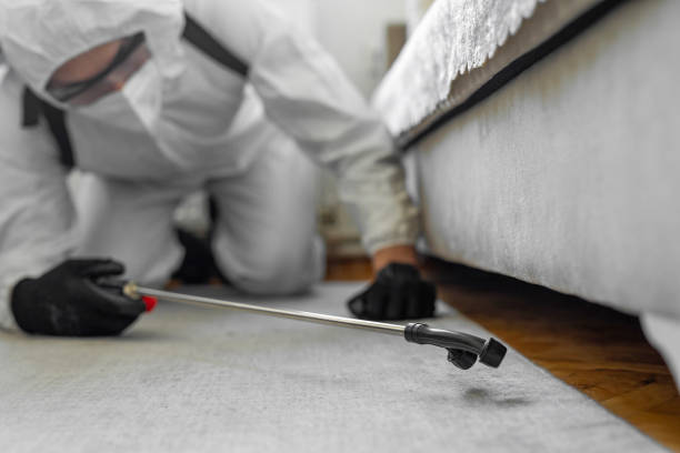 Professional Rodent Control technician working in Yermo, CA