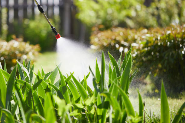 24/7 Emergency Rodent Control experts in Yermo, CA