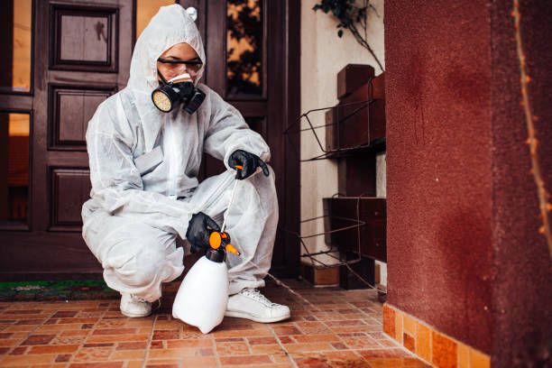 Reliable Rodent Control contractor in Yermo, CA by Nex Pest Control